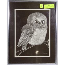OWL DRAWING FRAMED + MATTED BY CHAPLAN