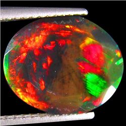 Natural Multi Color Welo Black Opal 2.54 Carats