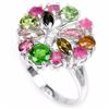 Image 1 : Natural Multi Gemstone Ring