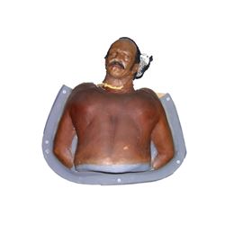 Pushing Daisies Roland 'Rollie' Stingwell (Fred Williamson) Latex Head Movie Props