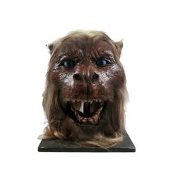 Wing Commander Alien Robotic Head Movie Props