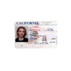 The Age of Adaline Adaline Bowman (Blake Lively) CA ID Movie Props