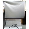 Image 1 : MAJESTIC PROJECTOR SCREEN