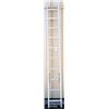 Image 1 : 21 FOOT EXTENSION LADDER
