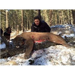 T-1 ROCKY MOUNTAIN HIGH OUTFITTERS COUGAR AND LYNX, B.C.