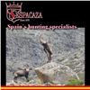 Image 3 : T-9 5 DAY HUNT IN SPAIN WITH ESPACAZA-SPAIN..MUST TAKE 2 TROPHIES