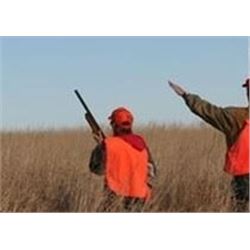 T-11 PHEASANT HUNT IN S.D. 3 DAY/ 3 NIGHT FOR 2 HUNTERS WITH PHEASANT CITY LODGE