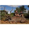 Image 1 : T-14 10 DAY SPIRAL ANTELOPE GRAND SLAM W/ TROPHY FEES FOR KUDU, NYALA, ELAND BUSHBUCK ONE HUNTER 201