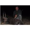 Image 2 : T-14 10 DAY SPIRAL ANTELOPE GRAND SLAM W/ TROPHY FEES FOR KUDU, NYALA, ELAND BUSHBUCK ONE HUNTER 201