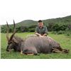 Image 3 : T-14 10 DAY SPIRAL ANTELOPE GRAND SLAM W/ TROPHY FEES FOR KUDU, NYALA, ELAND BUSHBUCK ONE HUNTER 201