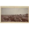 Image 2 : Oklahoma Land Rush