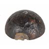 Image 2 : Sectioned Civil War 12-Pounder Case Shell with Bormann Fuze