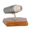 Image 1 : General Electric Bio-Satellite Model