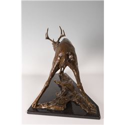 Dan Ostermiller, bronze