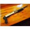 Image 1 : Winchester Pump Action 12 Gauge Shotgun, Silver