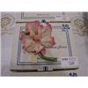 Image 1 : CAPODIMONTE PINK IRIS