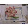 Image 1 : CAPODIMONTE PINK IRIS