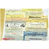 Image 7 : U.S. Selection of Bank Checks Including Imprinted Revenues.