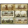 Image 4 : Group of stereo view cards. 1906 San Francisco Earthquake pre-quake and aftermath. California Oilfie