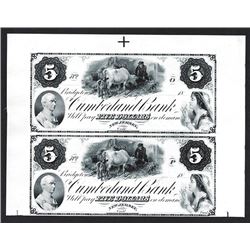 Cumberland Bank Uncut Sheet of 2 Proofs.