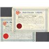 Image 3 : Anglo-Palestine Co. (5); and A.P.B. Investment Co. Ltd. Certificates.