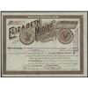 Image 1 : Elizabeth Mining Co. Issued Stock.