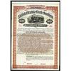 Image 1 : Norfolk, Virginia Beach and Southern Railroad Co. 1896 Specimen Bond.