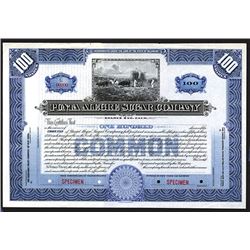 Punta Alegre Sugar Co., ca. 1900 Specimen Stock Certificate.