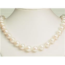 STERLING  SILVER CLASP FRESH WATER PEARL NECKLACE. REPLACEMENT VALUE: $600.00