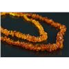 Image 1 : Two Pieces of Amber Necklaces
