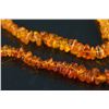 Image 3 : Two Pieces of Amber Necklaces