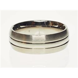 #4-MEN'S TITANIUM BAND