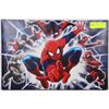 Image 1 : SPIDERMAN CANVAS PICTURE 12" X 18"