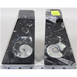 PAIR OF AMMONITE BOOKENDS