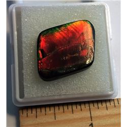 15MM X 15MM AMMOLITE GEMSTONE