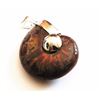Image 1 : NATURAL AMMOLITE PENDANT