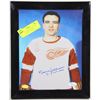 Image 1 : FRAMED AND SIGNED PHOTO OF NORMY ULLMAN: COMES