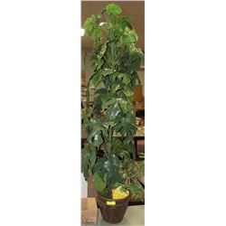ARTIFICIAL UMBRELLA PLANT APPROX 6FT TALL AND ONE