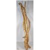 Image 1 : LOT OF 6  BAMBOO WALKING STICKS