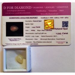 4.003CT NATURAL BUTTON  SHAPED FRESH WATER PEARL