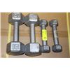 Image 1 : 10LB AND 3LB DUMBELLS