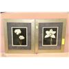 Image 1 : PAIR OF FRAMED FLORAL PICTURES
