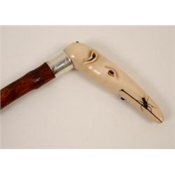 A Walking Stick, the ivory handle carved in the form of an anteater with ants  See illustration £...