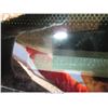 Image 10 : 2008 - FORD EXPEDITION