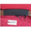 Image 11 : WINCHESTER 190