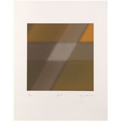 Barry Nelson, Pyrite, Aquatint Etching