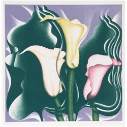 Jack Brusca, Calla Lily, Serigraph