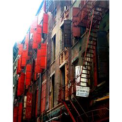 Monica Shulman, In New York Freedom Looks Like Too Many Choices, Photograph