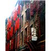 Image 1 : Monica Shulman, In New York Freedom Looks Like Too Many Choices, Photograph