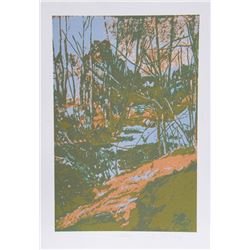 John Healy, Salmon and Green Forest, Serigraph